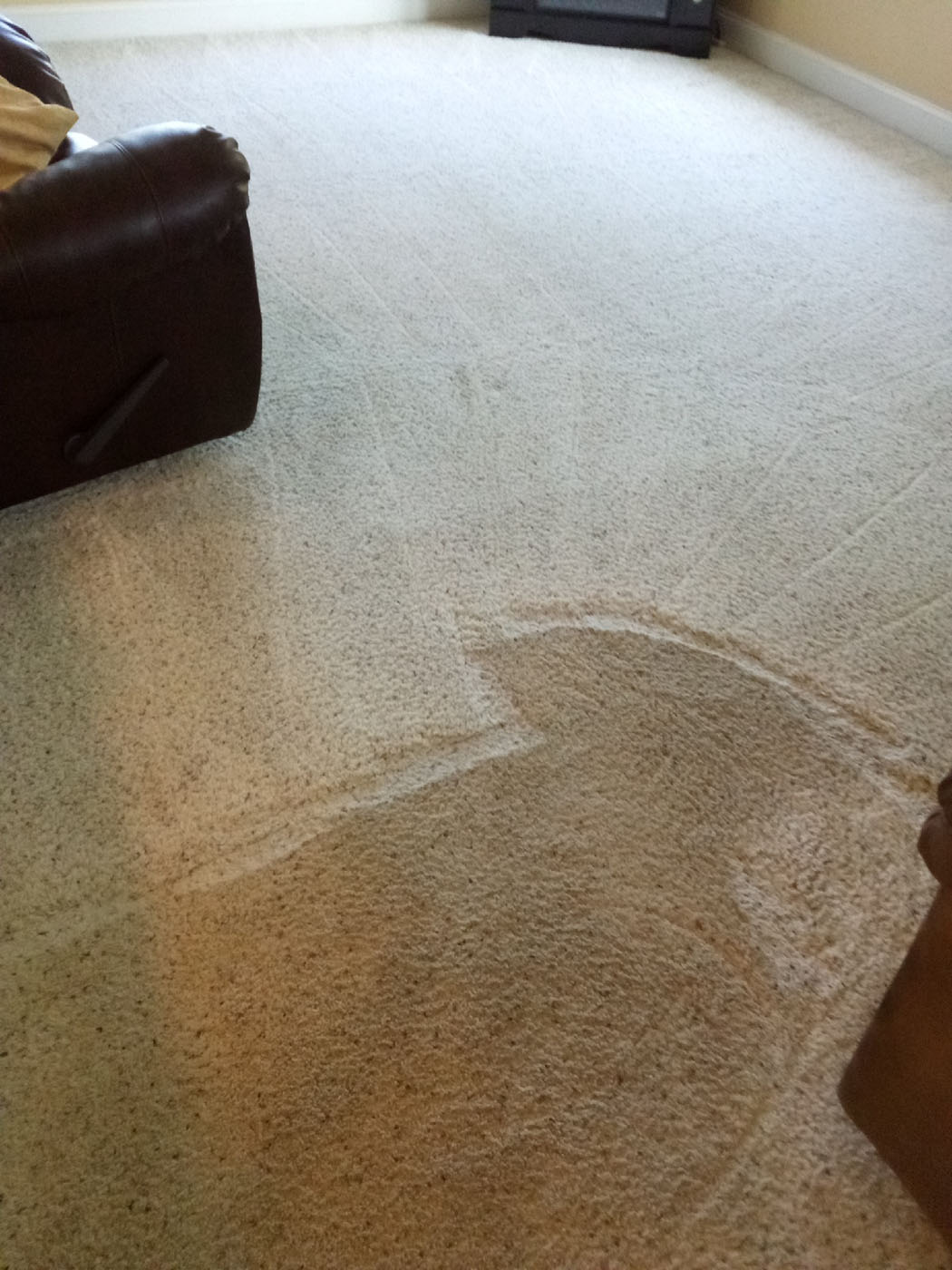 Carpet Care Plus Before After Carpet Cleaning 3