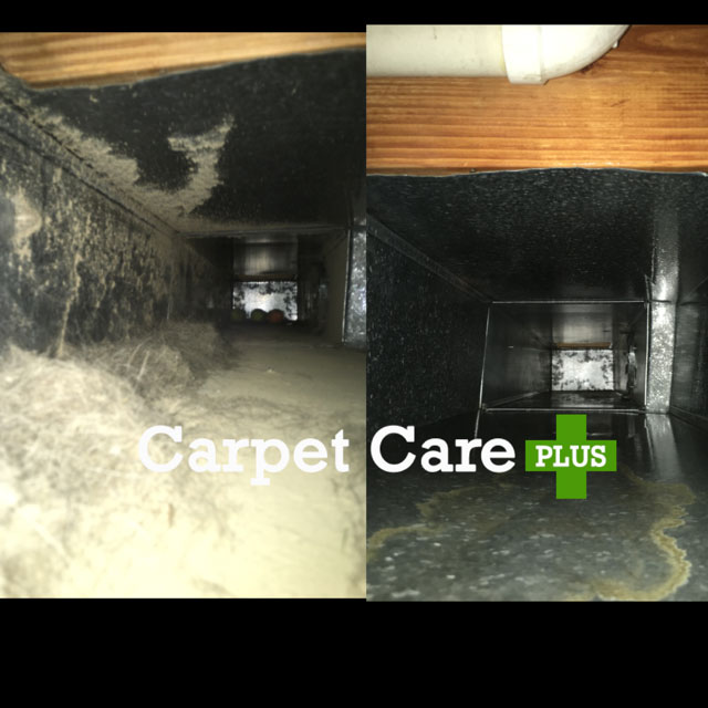 Carpet Care Plus Before After Duct Cleaning 2021 1