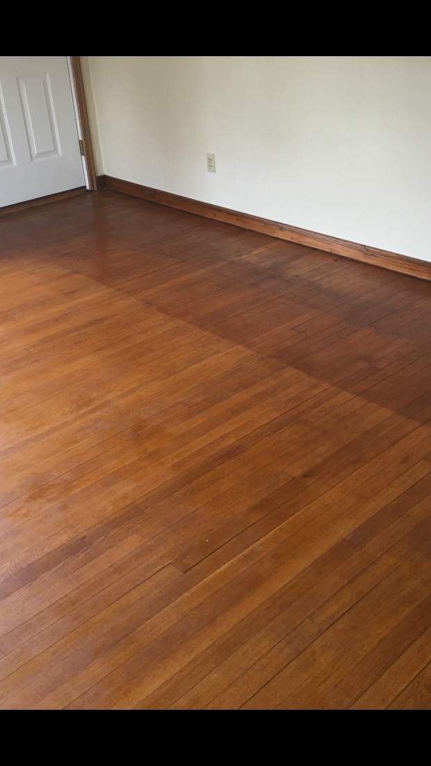 Carpet Care Plus Hardwood Floor 2021 1